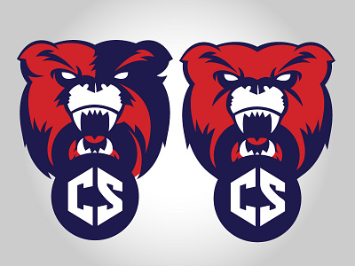 Beardown! branding crossfit crossfit surgo logo