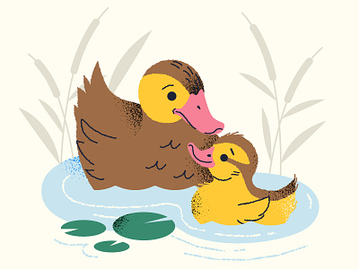 Mother Duck bird chick duckling ducks mother pond