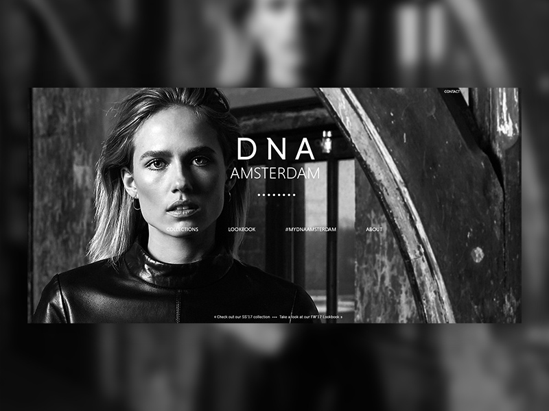 New DNA Amsterdam fashion brand website by Michel Schönhage on Dribbble