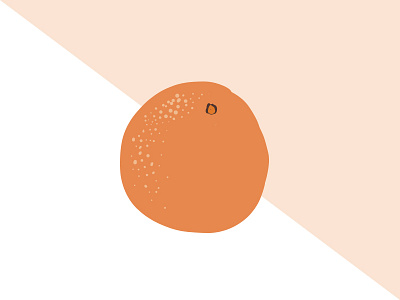 Orange citrus color block food fruit illustration orange spring summer