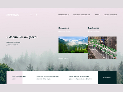 Моршинська website concept ui web