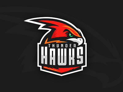 Thunder Hawks Logo baseball bird hawk kickball logo sports sports logo thunder thunderhawk