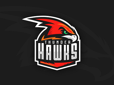 Thunder Hawks Logo