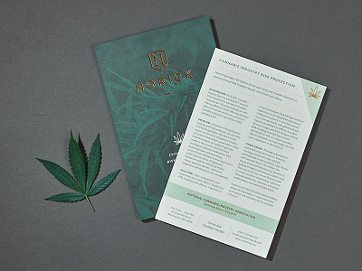 Norick Cannabis Industry White Paper alicja colon braizen branding cannabis collateral flyer foil stamped white paper