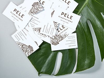 Pele Plantations Business Card braizen branding business card coffee goddess logo design pele stationery tropical volcano