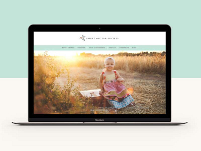 Home Sweet Home braizen home page hummingbird non profit responsive ui ux website