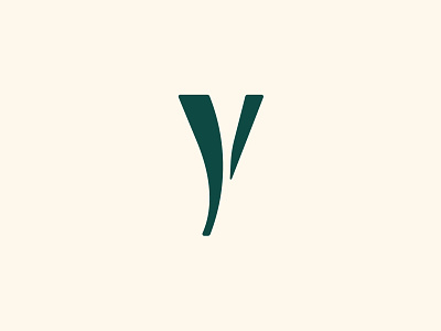 Y braizen branding logo type type design y