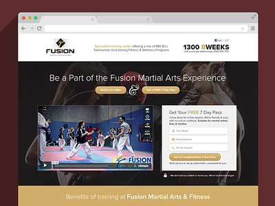 Fusion clean email capture form hero icons landing page martial arts photo tan yellow