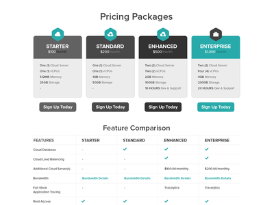 Pricing Packages arck arckcloud button cloud enhanced enterprise hosting icons minimal packages pricing signup standard starter teal white