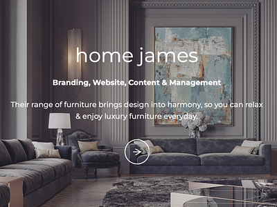 Home James branding design graphic design illustration logo typography