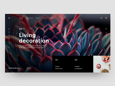 Living Decoration dark hero plant sketch slider ui ux web web design