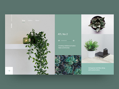 Plants concept design green hero ui ux web design website