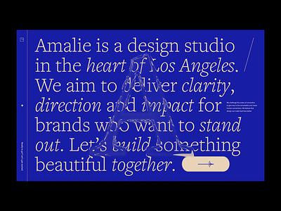 Amalie Landing Page Intro animation design landing page motion transition type web website