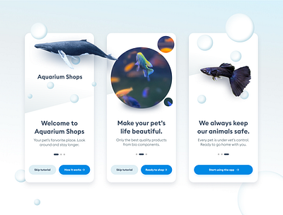 Aquarium Shops app design graphic design ui ux