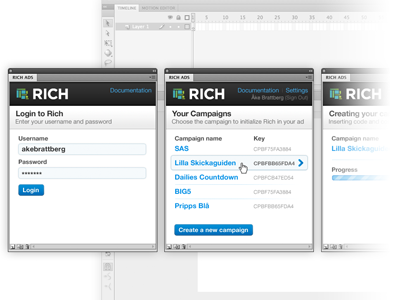 Richmetrics Flash Component button component flash panel richmetrics ui