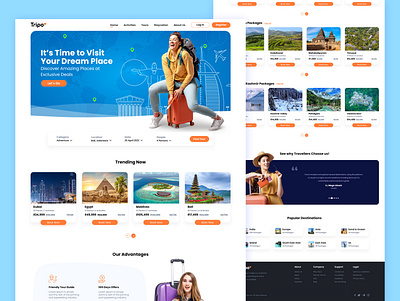 Travel Agency Mockup Design branding design graphic design ui web website