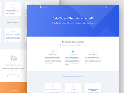 Data Tiger home page big data data desktop home page illustration landing page ui ux web