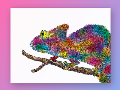 Chameleon illustration postcard