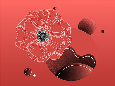 Poppy's world botanic floral flower geometric grain illustrator pink poppy red vector vegetation