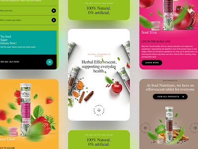 Soul Nutritions design graphic design ui ux web design web development