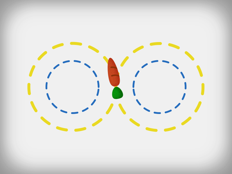 Looping exercise after affects animation 2d illistration motion