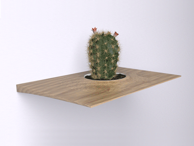 Plant Pod 3d animation break apart cactus explode view plant plant pod succulent wall