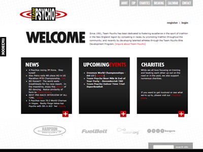 Team Psycho - website design