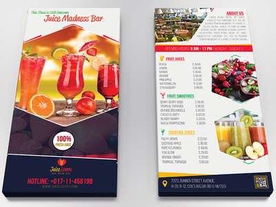 dl flyer template