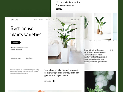 Indoor Plant Landing Page app design design forest homepage indoor plants landing page landscaping design plants ui uiuxlabs ux website design