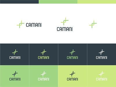 CAMANI branding design graphic design logo