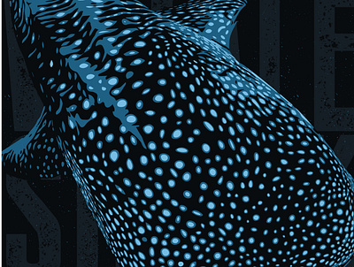 Shark Week 2022, Whale Shark biology conservation dive diving dolphin fish fishing marine mermaid ocean save sea shark shark week sharks under the sea underwater whale whale shark wildlife