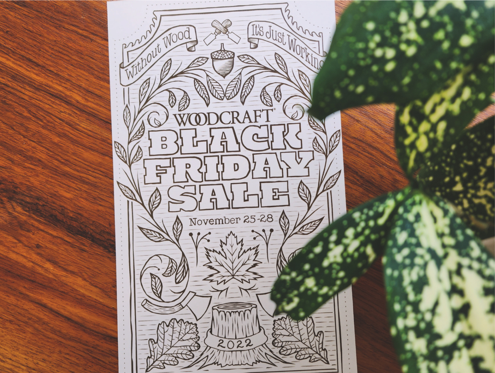Woodcraft Black Friday Mini Catalog Cover, 2022 by Jessica Green on