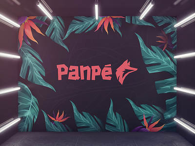 Panpé brand fashion graphic design