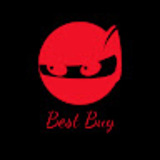 Best Buy Ninja