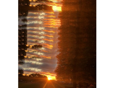 Daybreak Horizo-Pan abstract photography all in camera art dawn no effects no photospop panorama sabotage roguepano sunrise