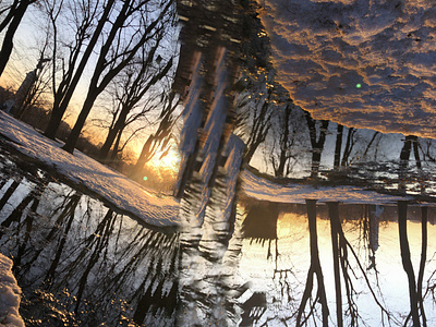 Spring sprung: RoguePanos in the meltwater. abstract photography all in camera art dawn no effects no photospop panorama sabotage roguepano