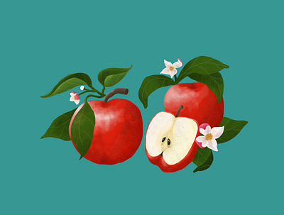 September Apples apples calendar design food fruit graphic design illustration printdesign