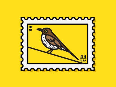 brown thrasher