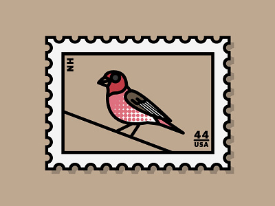 purple finch