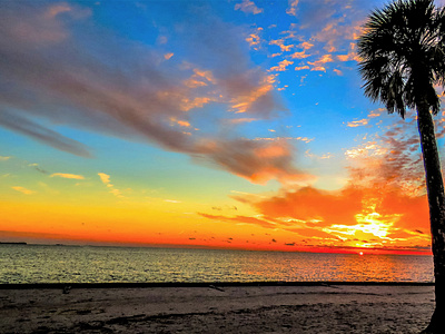 Florida Gulf Shore Sunset