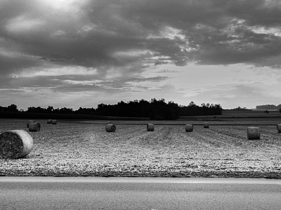 Black and White farm scene, Lancaster County, PA, USA