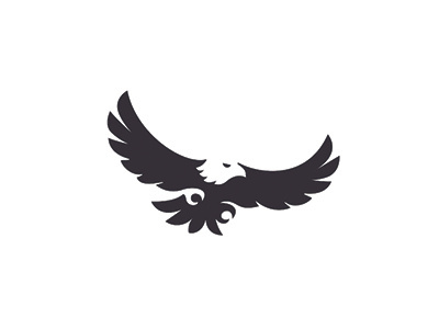 The Raptor Center baldeagle bird bird of prey eagle logo negative raptor space talons wings