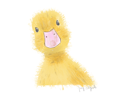 Little Yellow Duck design drawing duck fluffy illustration procreate yellow