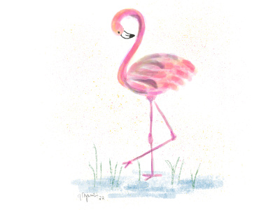 Flamingo design drawing flamingo illustration procreate
