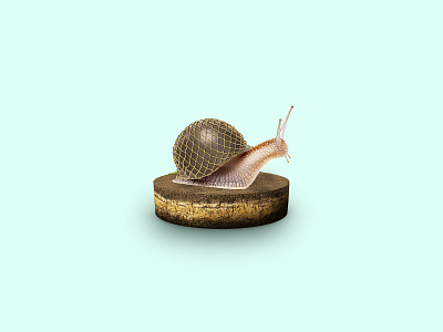 Army Snail army character design helm illustration manipulation snail soil