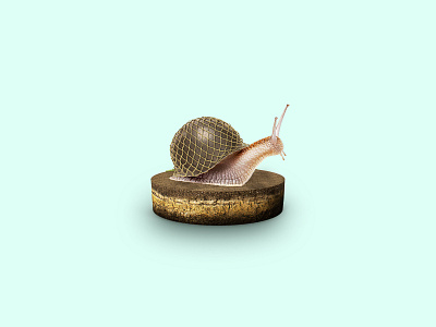 Army Snail