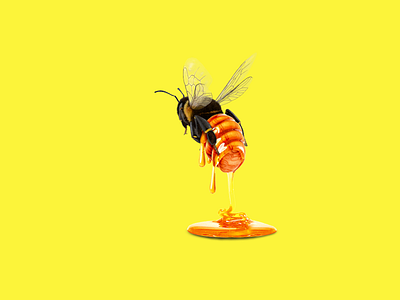 Be ey bee character honey illustration liquid manipulation