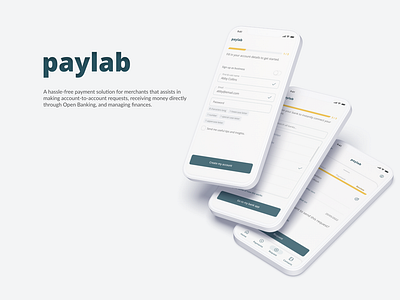 PayLab - a Merchant Finance App