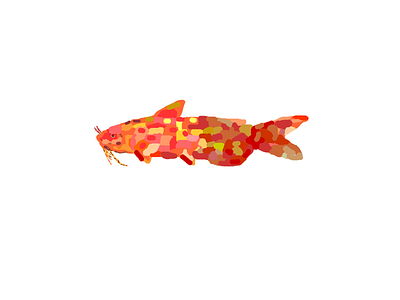 Cat Fish 3