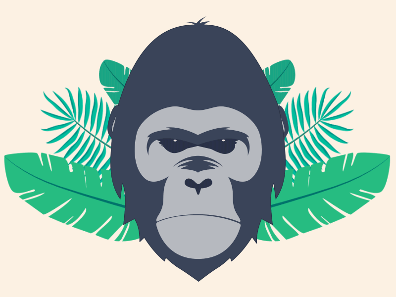 Not so angry 2d ae after effects animation character duik gif gorilla head jungle loop mograph motion rig